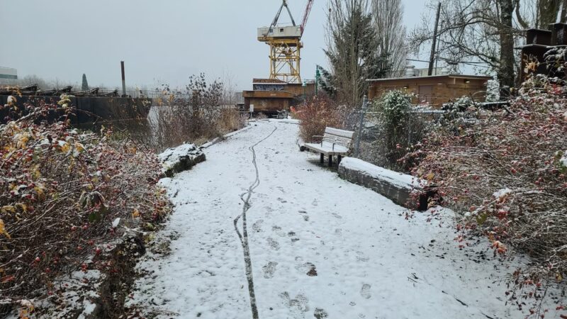 t̓ałt̓ałucid Park and Shoreline Habitat (formerly 8th Ave S Street End) - Seattle, WA