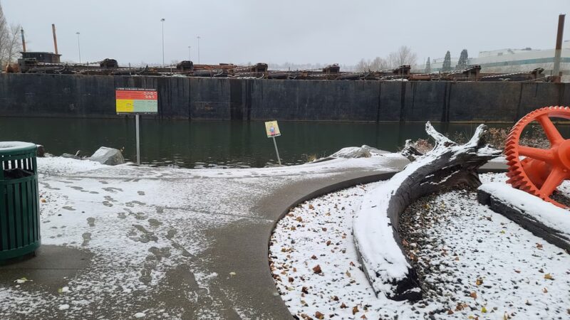 t̓ałt̓ałucid Park and Shoreline Habitat (formerly 8th Ave S Street End) - Seattle, WA