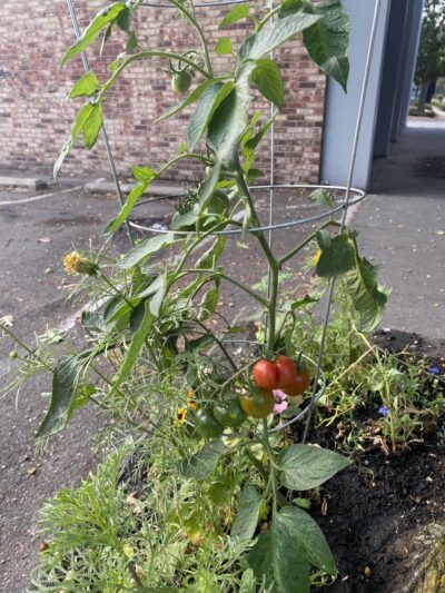 T.T. Minor Playground - Seattle, WA