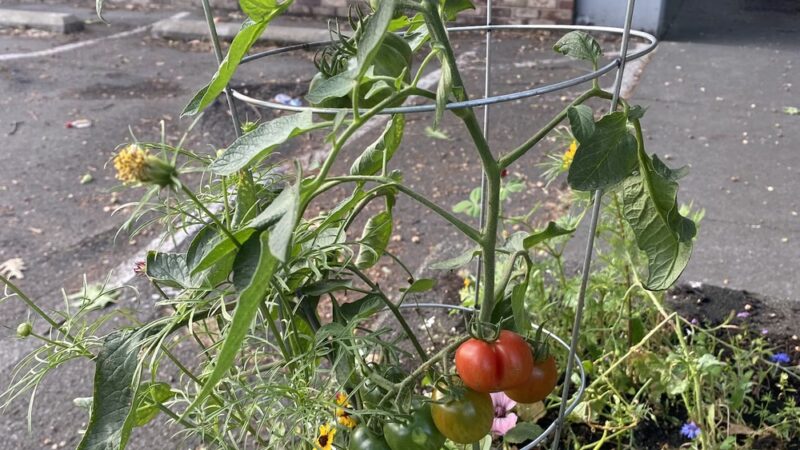 T.T. Minor Playground - Seattle, WA