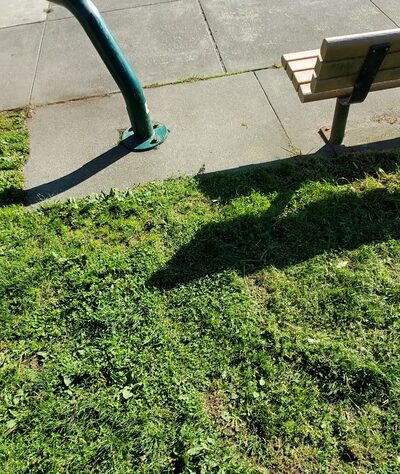 T.T. Minor Playground - Seattle, WA