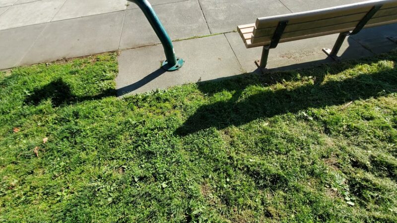 T.T. Minor Playground - Seattle, WA