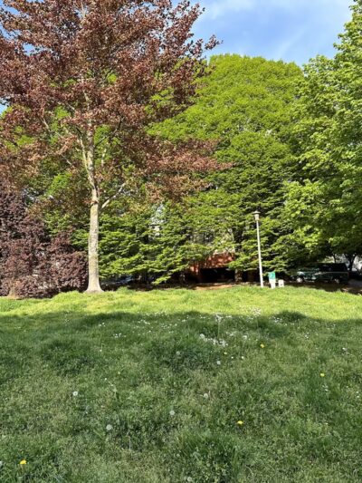 Thomas Street Mini Park - Seattle, WA