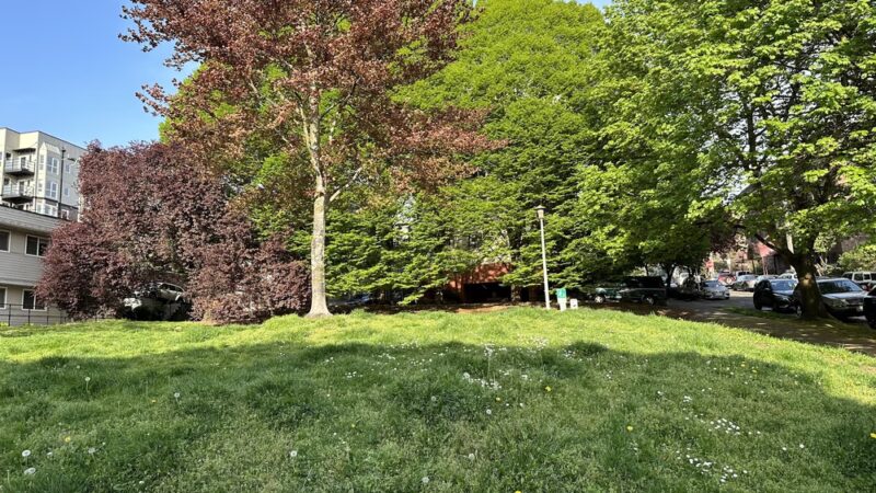 Thomas Street Mini Park - Seattle, WA