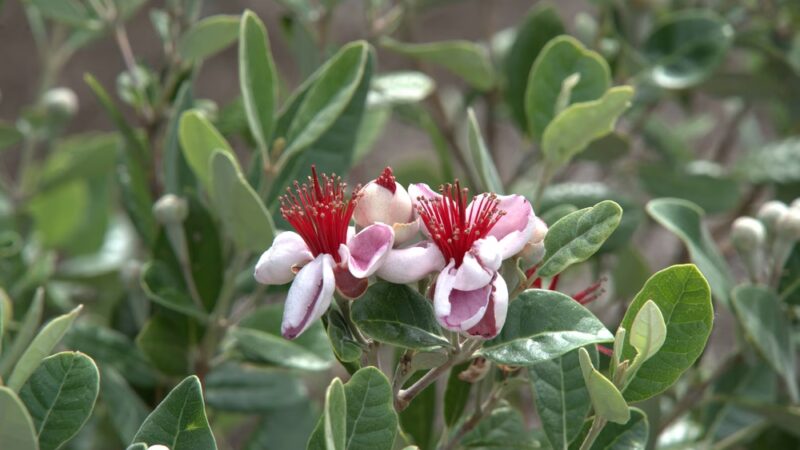 University Circle - Seattle, WA