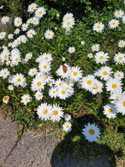 University Circle - Seattle, WA
