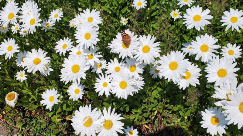 University Circle - Seattle, WA