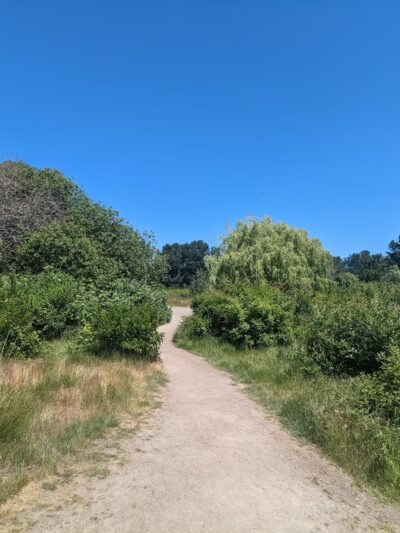 UW Wetlands - Seattle, WA