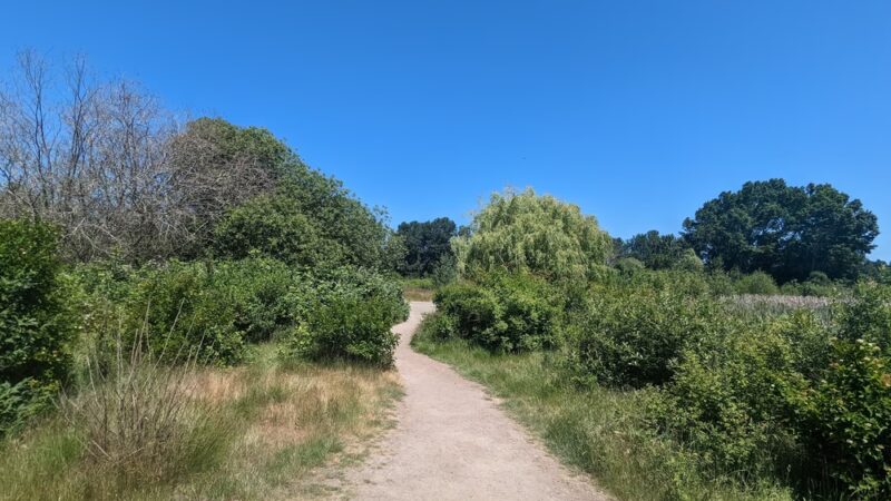 UW Wetlands - Seattle, WA