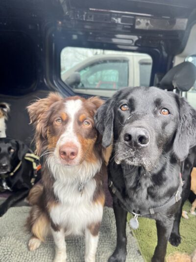 Veda's Dog Day Afternoon - Seattle, WA