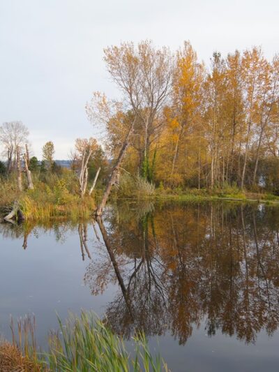 Warren G. Magnuson Park - Seattle, WA