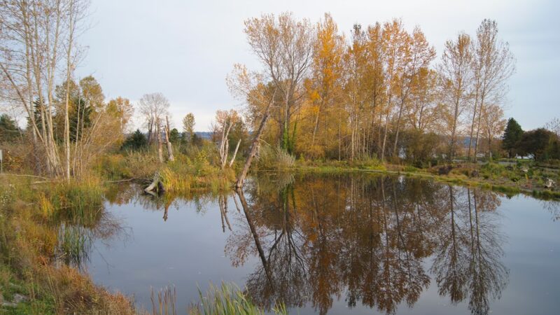 Warren G. Magnuson Park - Seattle, WA