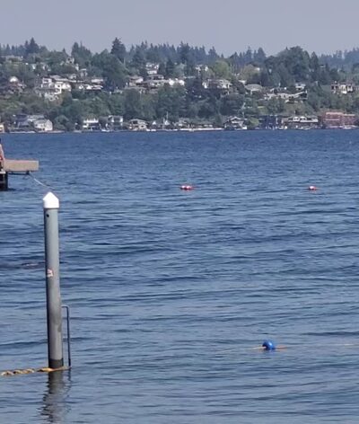 Warren G. Magnuson Park - Seattle, WA