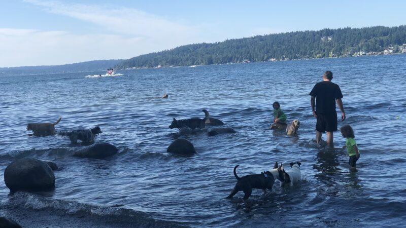 Warren G. Magnuson Park Off Leash Area - Seattle, WA
