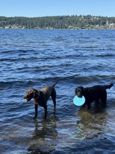 Warren G. Magnuson Park Off Leash Area - Seattle, WA