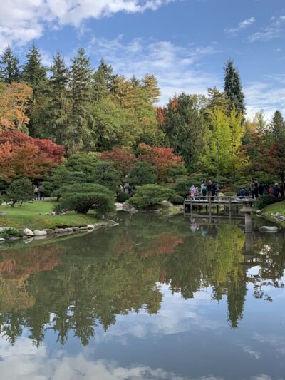 Washington Park Arboretum - Seattle, WA