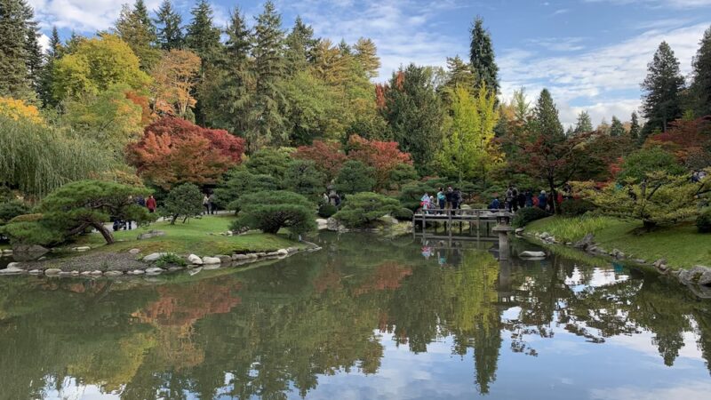 Washington Park Arboretum - Seattle, WA