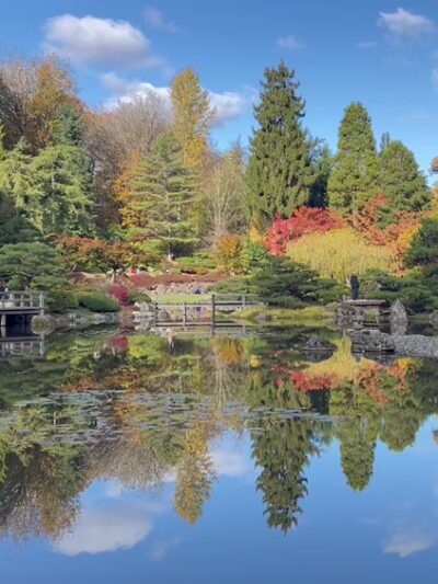 Washington Park Arboretum - Seattle, WA