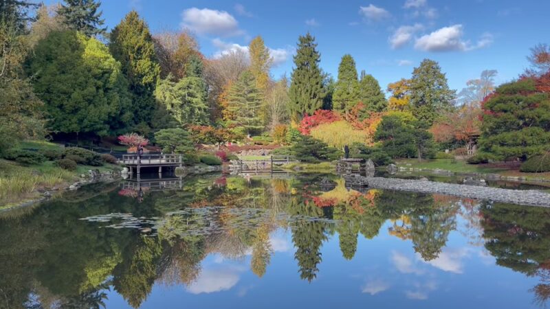 Washington Park Arboretum - Seattle, WA