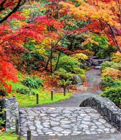 Washington Park Arboretum - Seattle, WA