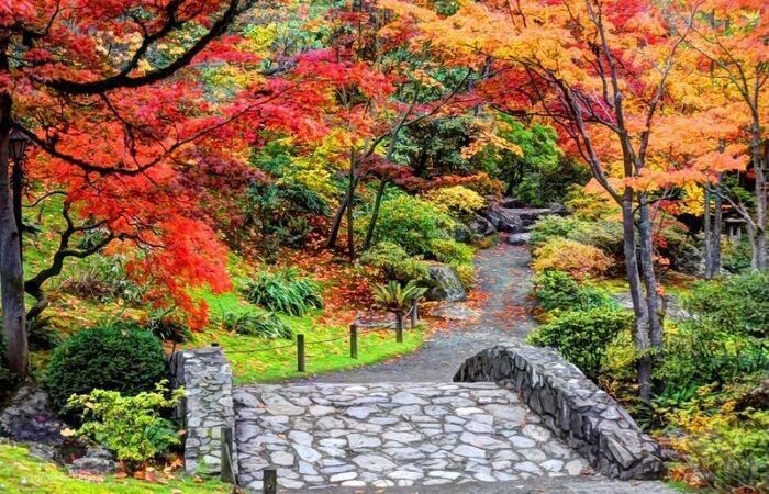 Washington Park Arboretum - Seattle, WA