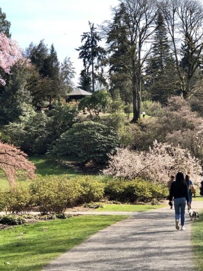 Washington Park Arboretum - Seattle, WA
