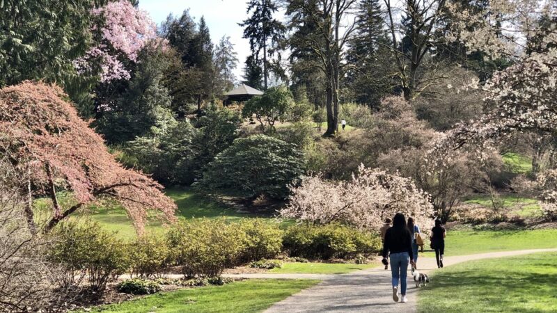 Washington Park Arboretum - Seattle, WA