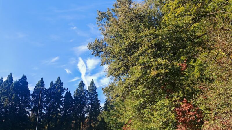 Washington Park Playfield - Seattle, WA