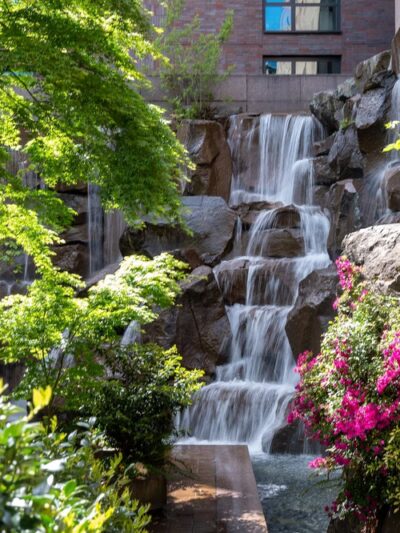 Waterfall Garden - Seattle, WA