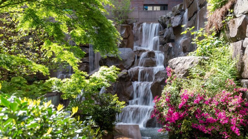 Waterfall Garden - Seattle, WA