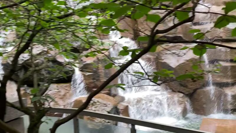 Waterfall Garden - Seattle, WA