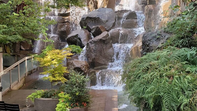 Waterfall Garden - Seattle, WA