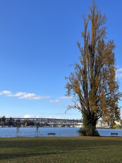 West Montlake Park - Seattle, WA