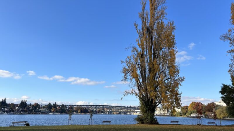 West Montlake Park - Seattle, WA
