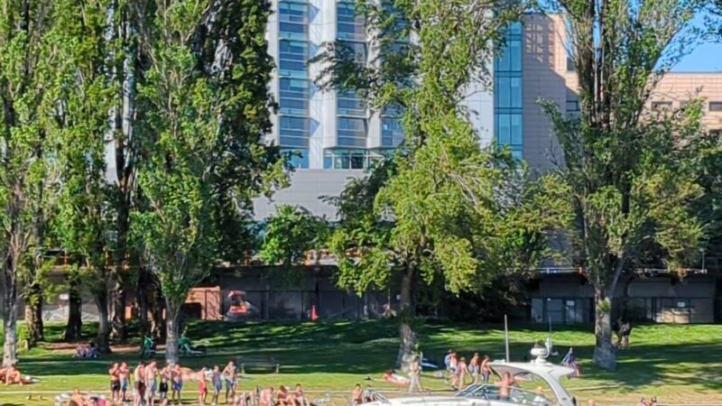 West Montlake Park - Seattle, WA