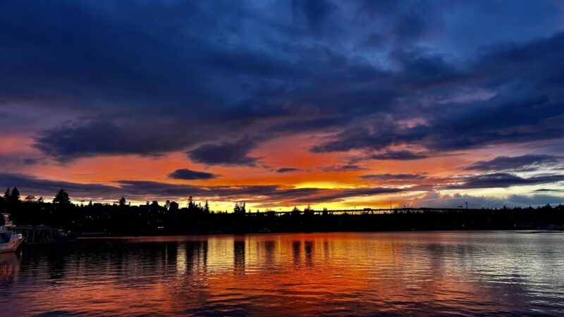 West Montlake Park - Seattle, WA