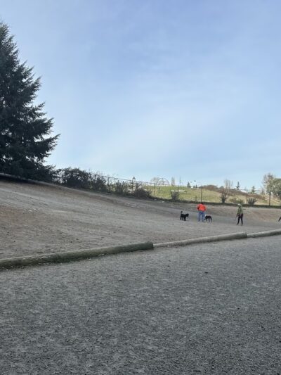 Westcrest Dog Park - Seattle, WA
