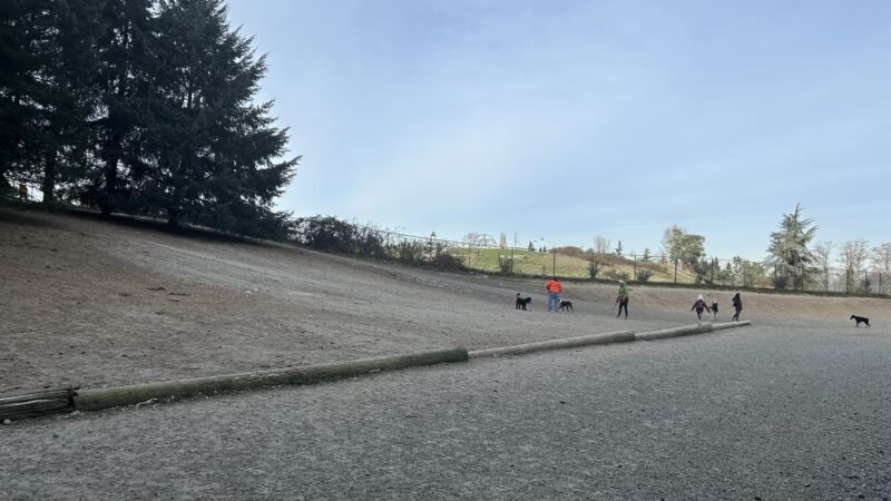 Westcrest Dog Park - Seattle, WA