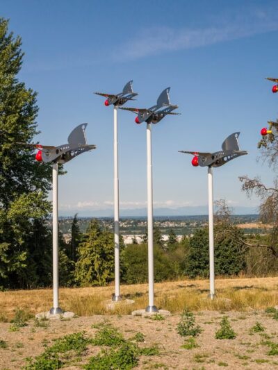 Westcrest Park - Seattle, WA