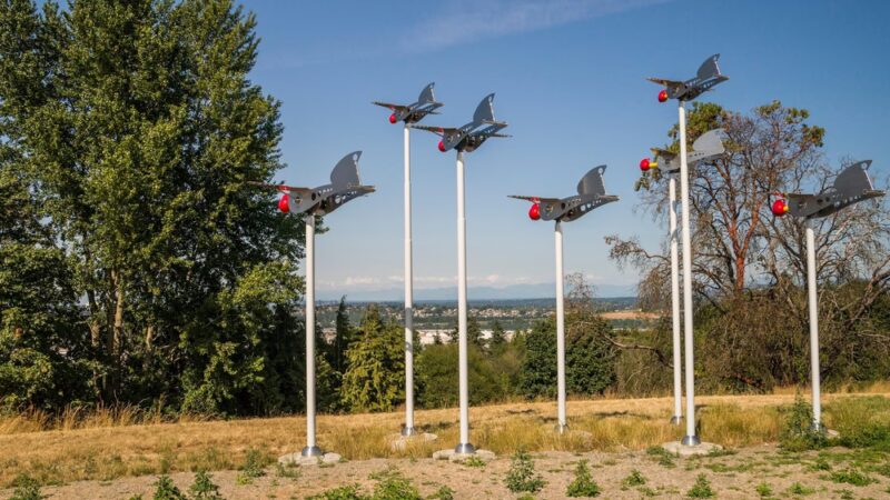 Westcrest Park - Seattle, WA