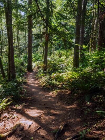 Westcrest Park - Seattle, WA