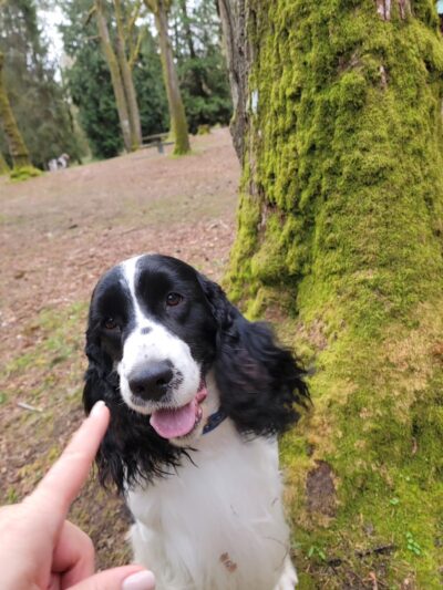 Woodland Park - Seattle, WA