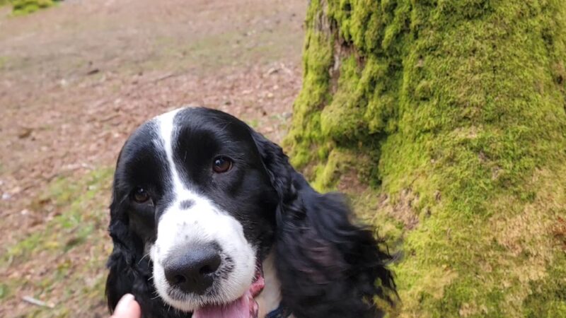 Woodland Park - Seattle, WA