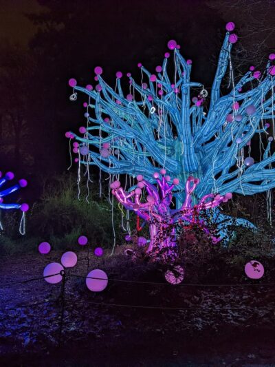 Woodland Park - Seattle, WA