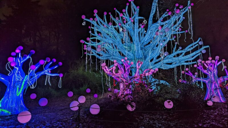 Woodland Park - Seattle, WA