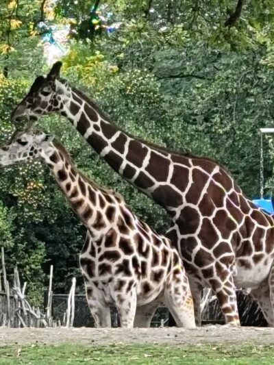 Woodland Park - Seattle, WA