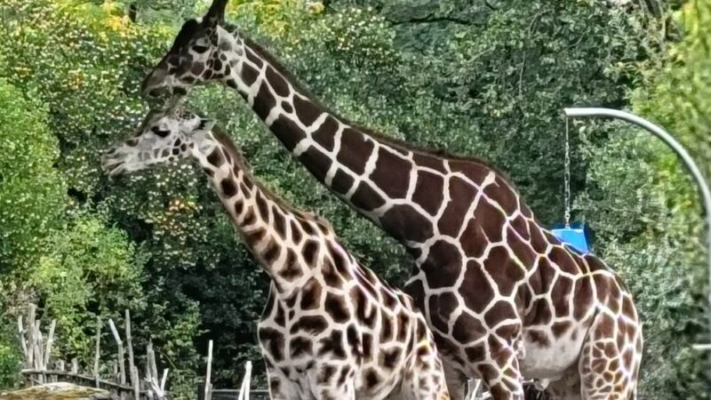 Woodland Park - Seattle, WA