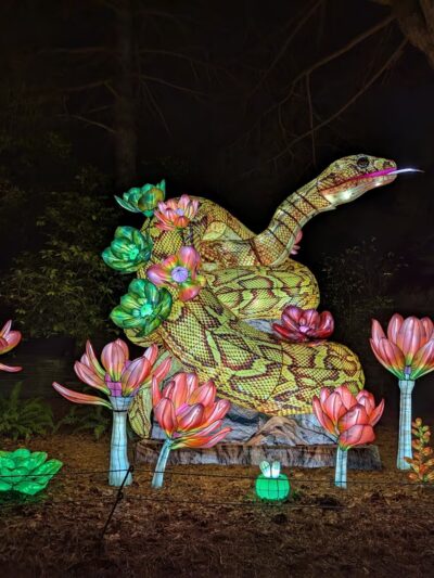 Woodland Park - Seattle, WA