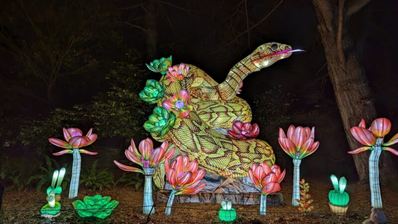 Woodland Park - Seattle, WA