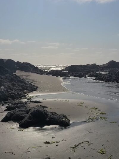 Seaview Beach Approach - Seaview, WA